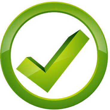 Green Tick Clipart Computer Accuracy - Chequecito Png (368x368)