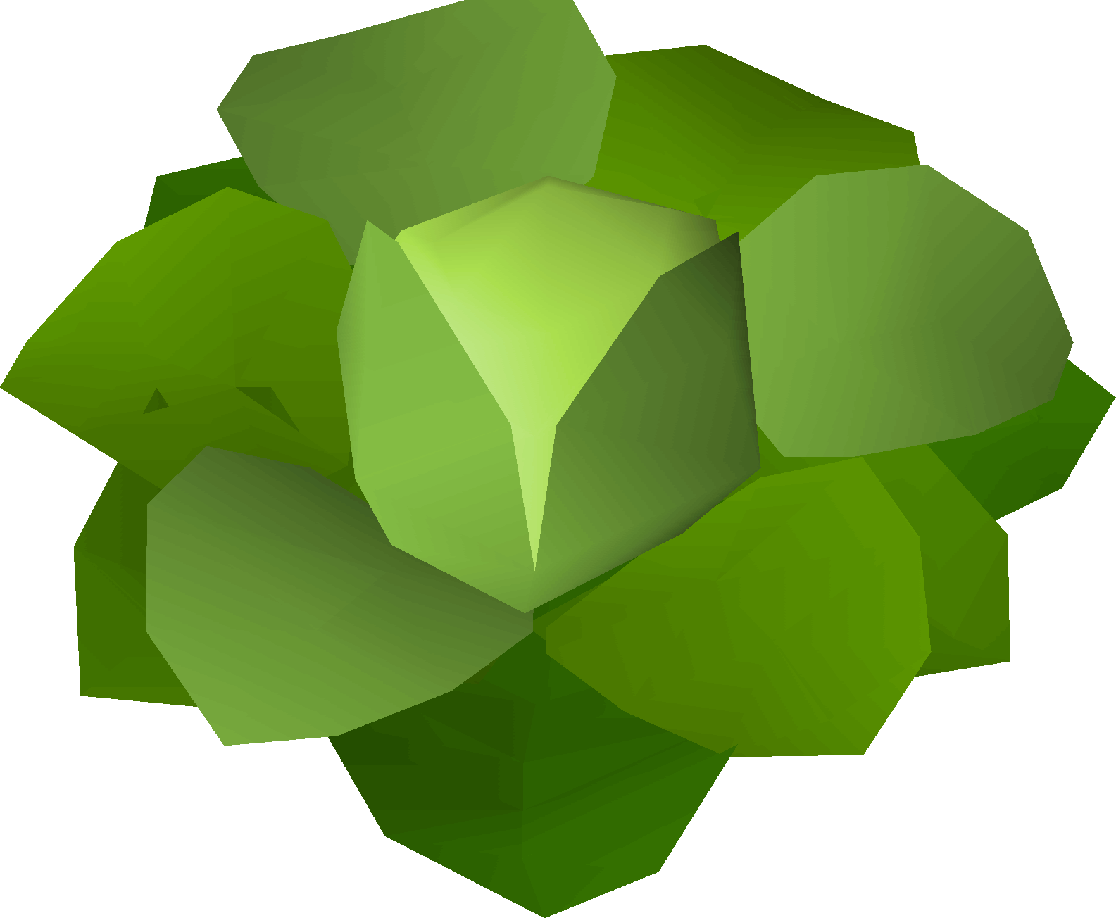 Osrs Monkey Madness Runescape Runehq - Oldschool Runescape Cabbage (1585x1304)