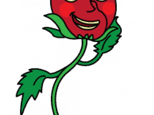 Cartoon Rose - Draw A Rose With A Face (640x480)