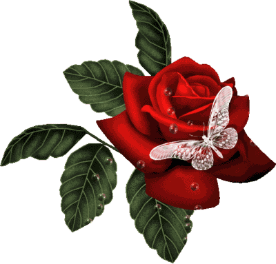 You Need To Be A Member Of Matavuvale Network To Add - Red Rose With Butterfly (400x383)