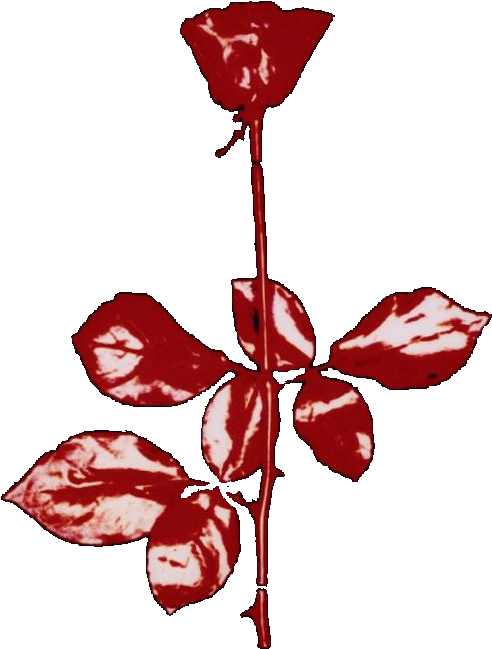 Lets Groove - - Depeche Mode Violator Rose (582x698)