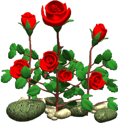 Flower Garden Animated Gif (405x424)