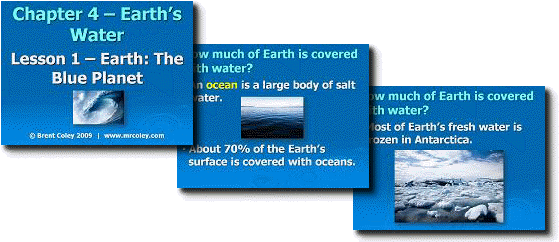 Back To Top - Great White Shark (575x250)