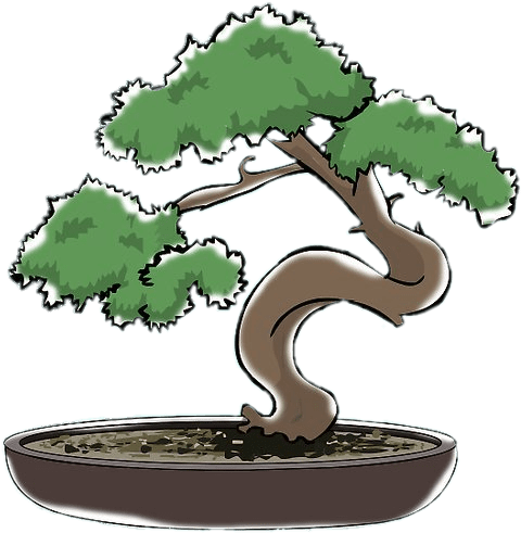 Bonsai Clipart Png - Bonsai (728x546)