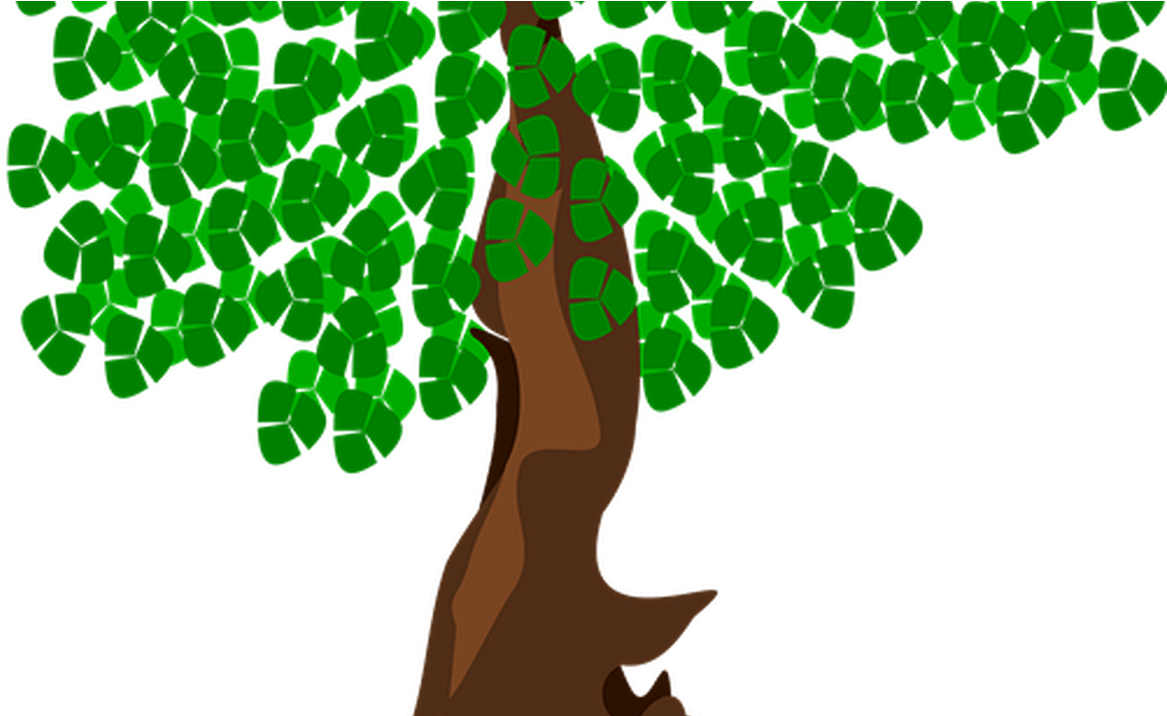 Bonsai Tree Clipart Shop Of Cliparts - Illustration (1200x715)