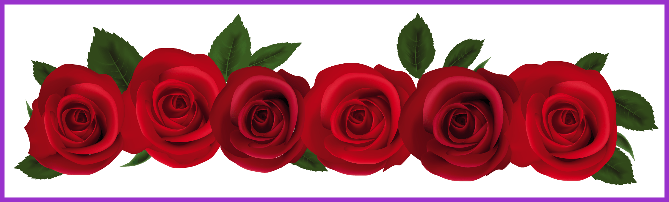 Pink Rose Flower Pink Rose Flower Border Png Amazing - Roses Png (2249x679)