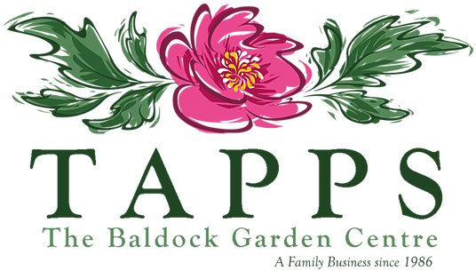 Allina Hospitals And Clinics (552x393)