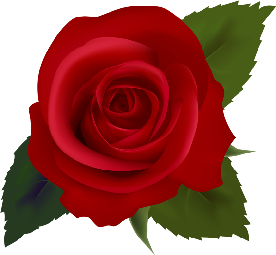 Red Roses Clip Art Images - Rose (615x591)