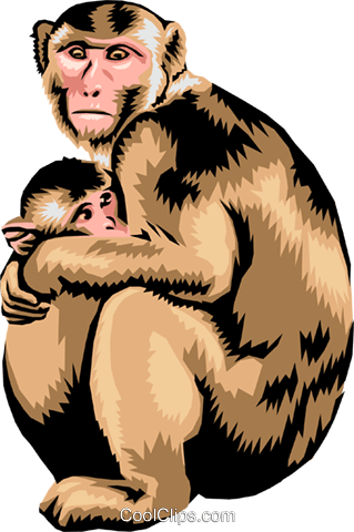 Monkey With Baby Monkey Royalty Free Vector Clip Art - Le Voci Degli Animali (319x480)