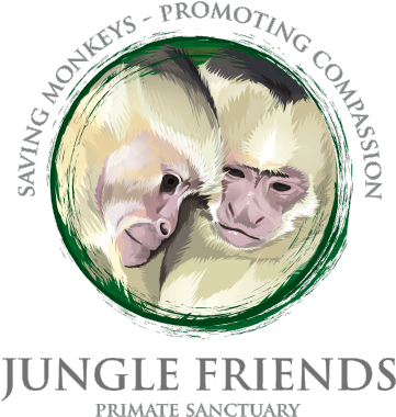 Jungle Friends On Twitter - White-headed Capuchin (400x400)