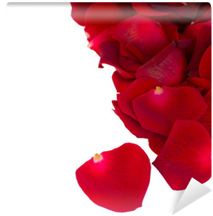 Pile Of Red Rose Petals Close Up Wall Mural • Pixers® - Garden Roses (400x400)