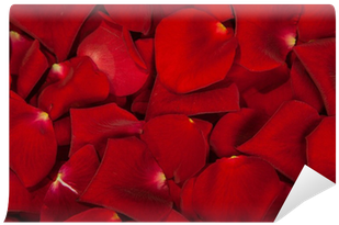 Wrapping Paper (400x400)