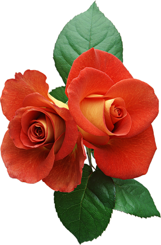 Картинки Цветы Png,gif - Subho Jonmodin Maa Gif (328x500)