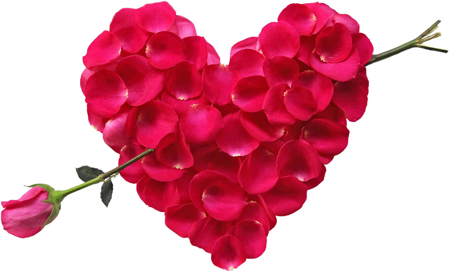 Flower Bouquet Rose Heart Petal - Flower Bokeh Images Hd (1920x1080)