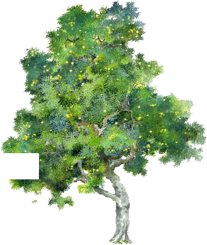 Tree Watercolor Painting - Oak Tree Drawing Colour (530x530)