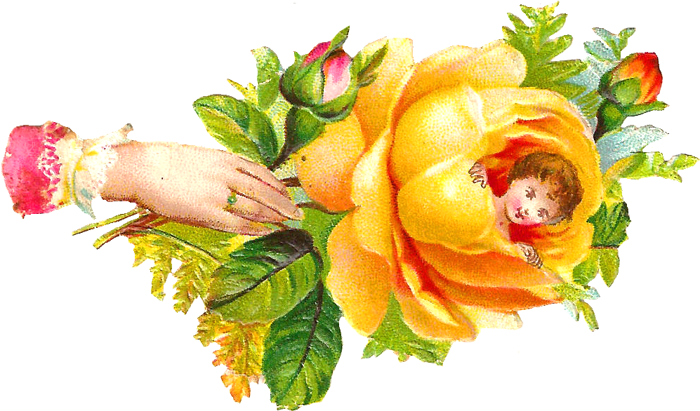 Antique - Clip Art (1226x816)