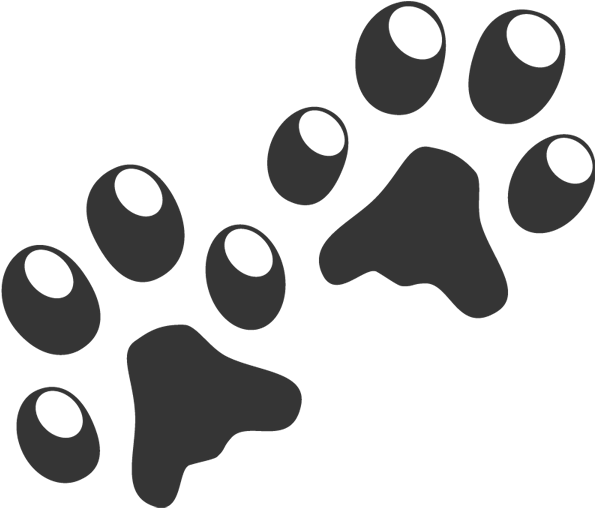 Cat Dog Paw Clip Art - Paws Cartoon Png (600x600)