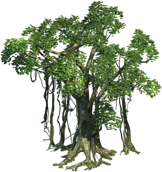 Realistic Tree Free Png Image - Tree Sprite Png (700x600)