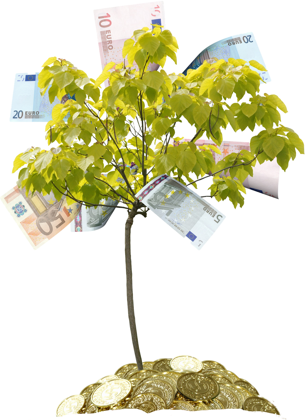 Tree Money Drawing Clip Art - Денежное Дерево Пнг (1184x1600)