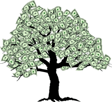 What Is Money Tree System - Does Money Grow On Trees (559x450)