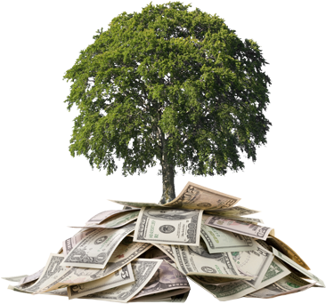 Money-tree About Us - Financing Your Twenties [book] (371x356)