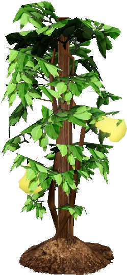 Money Tree, Omni Plant - Sims 3 Life Plant (800x600)