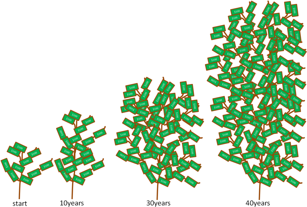 1113763508, Photo - Money Tree Growth Rate (1024x700)
