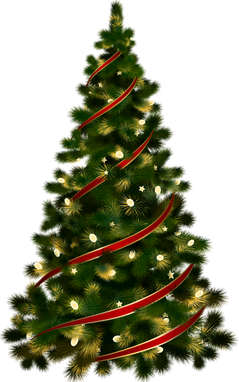 Christmas Tree With Transparent Background (490x782)