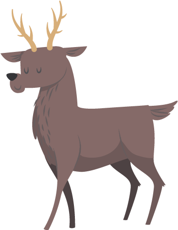 Daithí Deer - Elk (380x484)