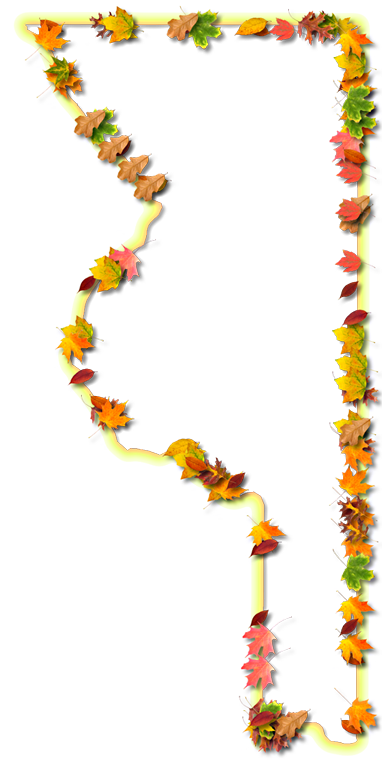 A Yellow And Orange Outline Map Of Sumter With Fall - Floral Design (382x768)