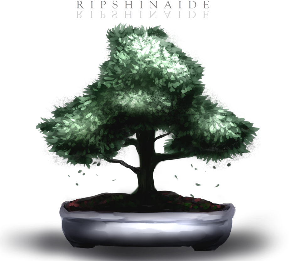 Bonsai By Ripshinaide - Sageretia Theezans (920x868)