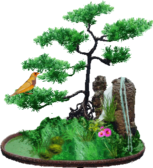Photo Bonsai 1 - 平安 健康 Gif (350x350)