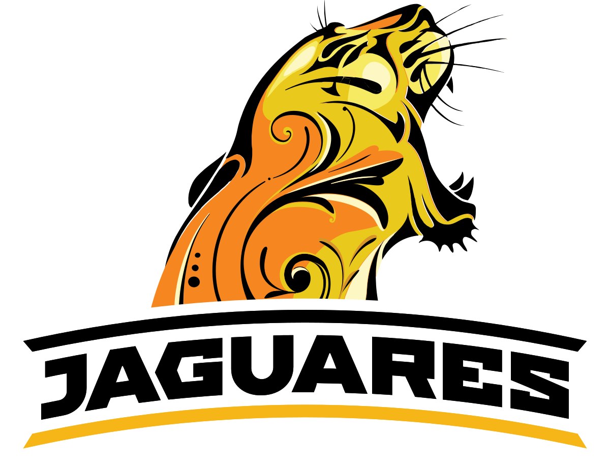 Jaguares Rugby (1200x912)
