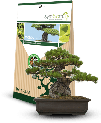 Ectovit Bonsai - Ectovit Bonsai - 100 G (389x519)