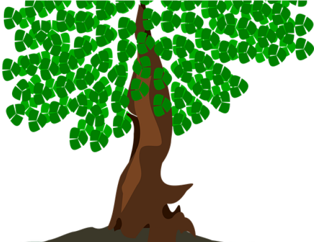 Bonsai Tree Clipart - Bonsai Tree Clipart (640x480)