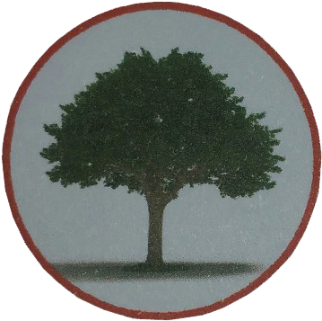 Weeping Fig (407x387)