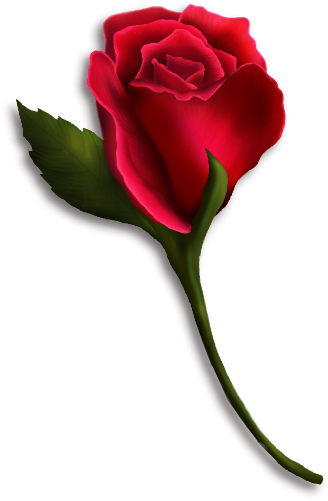 Single Rose Clip Art - Single Red Rose Clip Art (328x501)