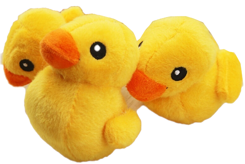 Ran Feng Pet Toys Yellow Ducklings Dogs Cats Sounds - Squishy Dogs Toys (800x800)