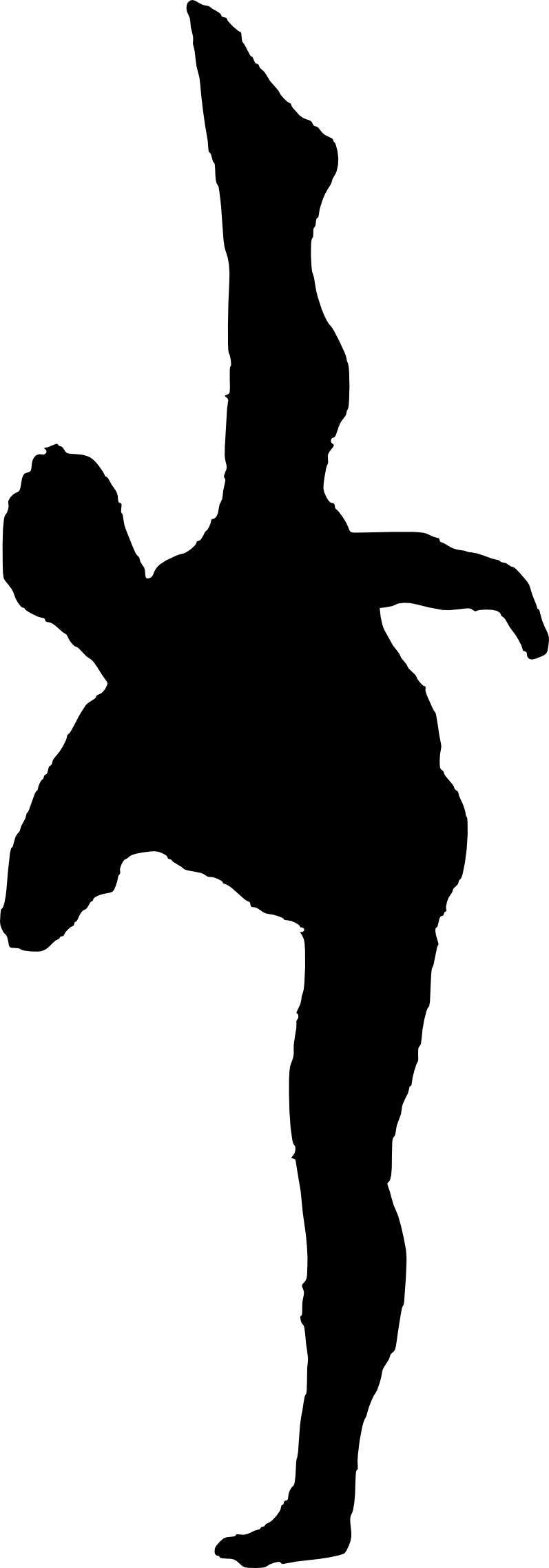 Free Download - Silhouette (797x2277)