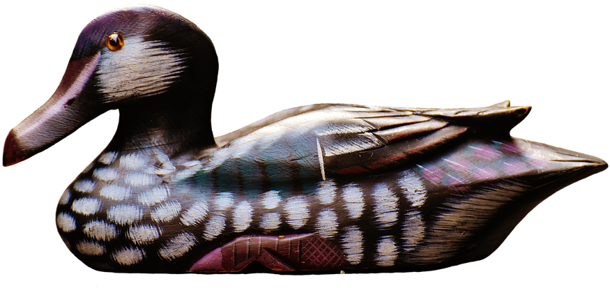 Wood Duck Clipart Transparent - Redhead Duck Vector Pixabay (960x517)