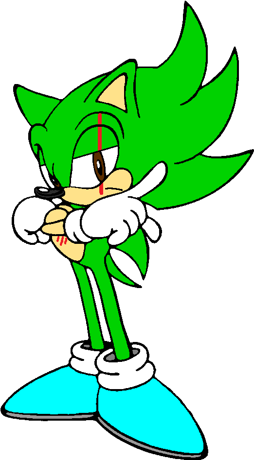 Scar The Hedgehog By Strongbadian404d - Leapfrog Didj Custom Learning Game Sonic The Hedgehog (550x952)