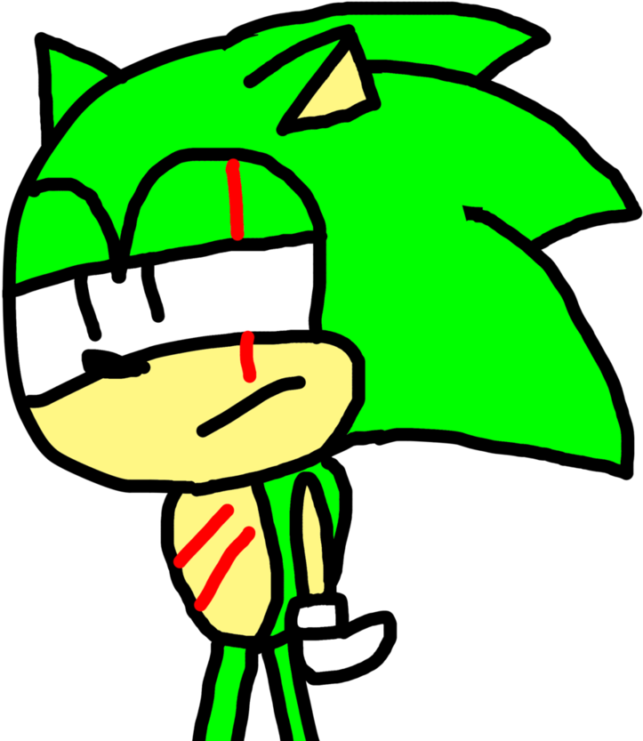 Scar The Hedgehog By Strongbadian404d - Cartoon (789x1012)