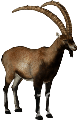 Ibex Png (400x400)