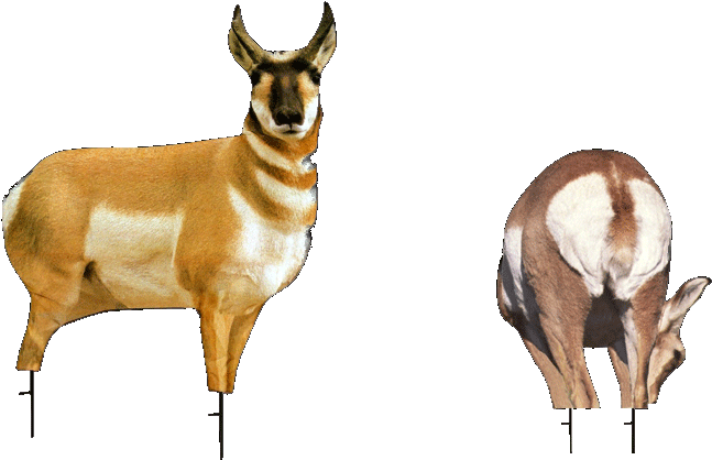 Montana Decoy Antelope Buck And Doe Combo Decoy Pack (709x479)
