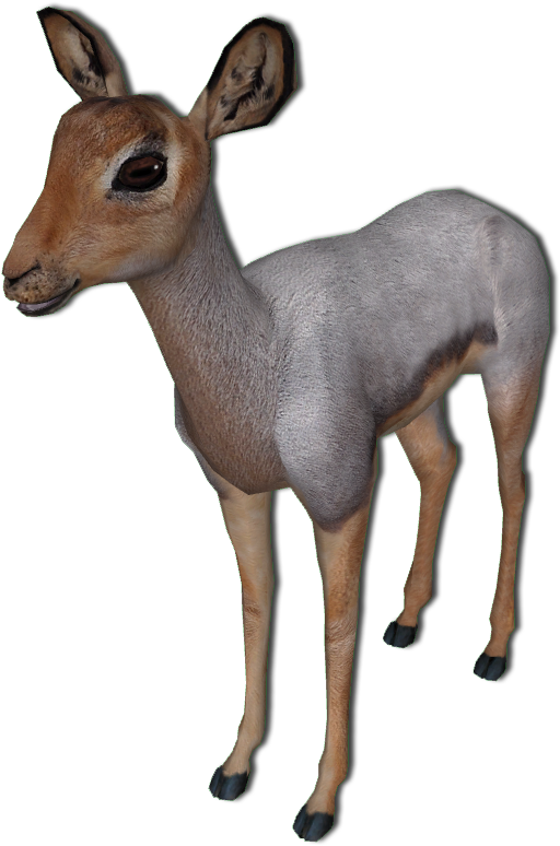 Beira Antelope Wip By Grandechartreuse - Roe Deer (530x794)