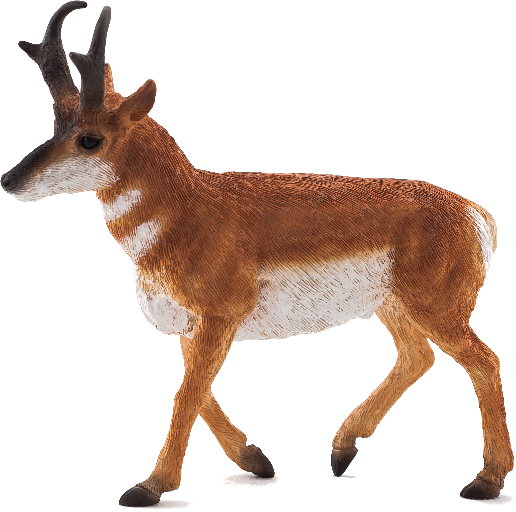 Mojo Animal (2856x2658)