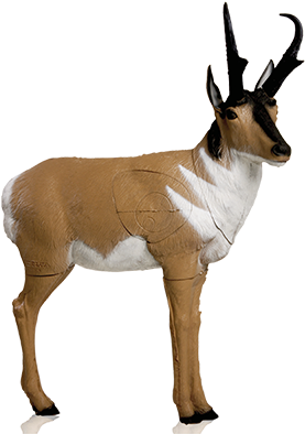 Delta Mckenzie Targets - 3d Archery Target (400x400)