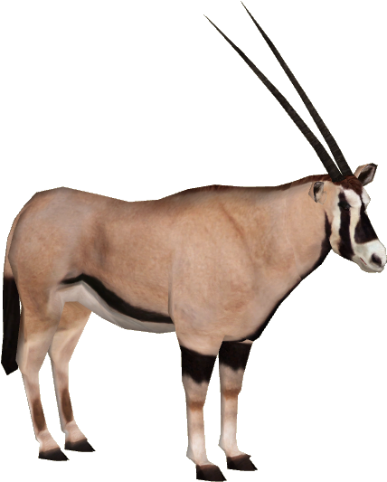 Beisa Oryx - Oryx Antelope Png (532x532)