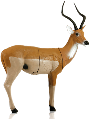 African Impala Pro 3d Target - Impala 3d Target (400x400)