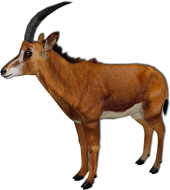 Giant Sable Antelope Improved Female By Grandechartreuse - Tesla Model 3 (699x775)